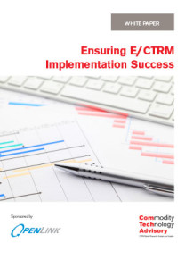 Ensuring E/CTRM Implementation Success